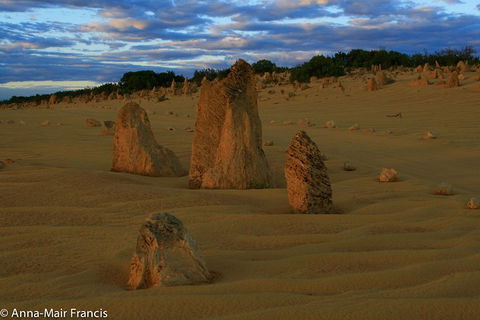 The Pinnacles, Sea And Dunescapes, Bush Reserve And Sunset Day Tour - Accommodation Redcliffe 1
