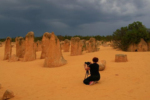 The Pinnacles, Sea And Dunescapes, Bush Reserve And Sunset Day Tour - Accommodation Redcliffe 2