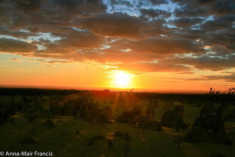 The Pinnacles, Sea And Dunescapes, Bush Reserve And Sunset Day Tour - Accommodation Redcliffe 3