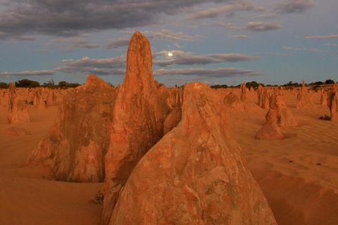 The Pinnacles, Sea And Dunescapes, Bush Reserve And Sunset Day Tour - Accommodation Redcliffe 4