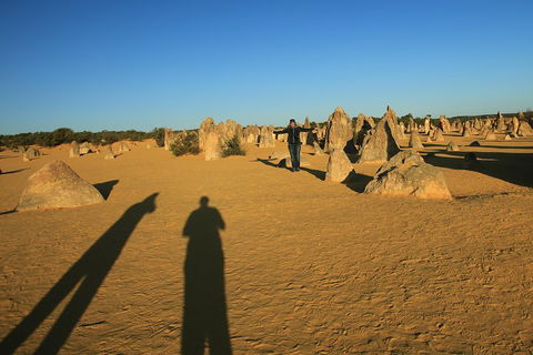 The Pinnacles, Sea And Dunescapes, Bush Reserve And Sunset Day Tour - Accommodation Redcliffe 5