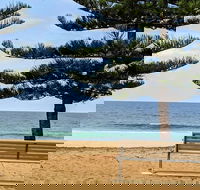 Manly  Sydney's Northern Beaches with 'Personalised Sydney Tours' - Accommodation Redcliffe