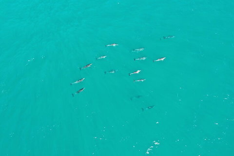 Port Macquarie Hastings Explorer - 30 Min VIP Private Flight - Accommodation Redcliffe 4