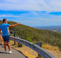 Private Tour Mornington Peninsula Family Maze and Fun - Accommodation Redcliffe