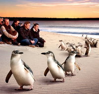 Private Tour Penguin Parade Phillip Island Tour. - Accommodation Redcliffe