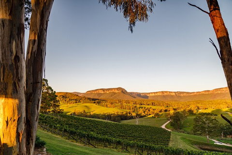 Taste Of The Blue Mountains - Lunch & Wine Tasting, Beer, Cider & Gin Tasting - Accommodation Redcliffe 1