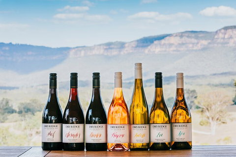 Taste Of The Blue Mountains - Lunch & Wine Tasting, Beer, Cider & Gin Tasting - Accommodation Redcliffe 3