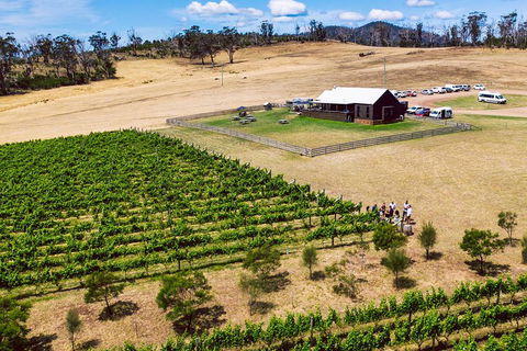 Tasmanian Wine Tour - Accommodation Redcliffe 3