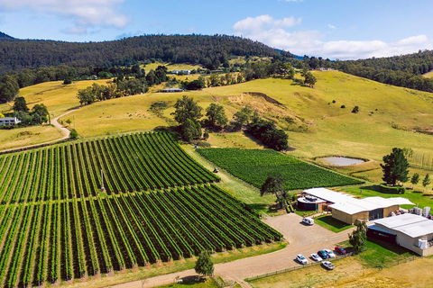Tasmanian Wine Tour - Accommodation Redcliffe 4