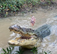 Top End Waterfalls and Wetlands - Accommodation Redcliffe