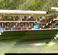 Hartley's Crocodile Adventure Half-Day Tour - Accommodation Redcliffe