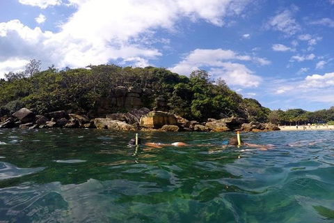 Manly And Shelly Beach Snorkeling Tour - Accommodation Redcliffe 4