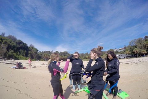 Manly And Shelly Beach Snorkeling Tour - Accommodation Redcliffe 5