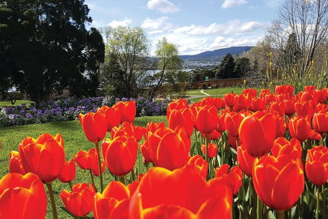 Hobart Half-Day Sightseeing Coach Tram Tour - Accommodation Redcliffe 4