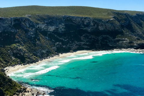 Kangaroo Island Scenic Trail Tour - Accommodation Redcliffe 4