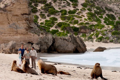 Kangaroo Island Scenic Trail Tour - Accommodation Redcliffe 5