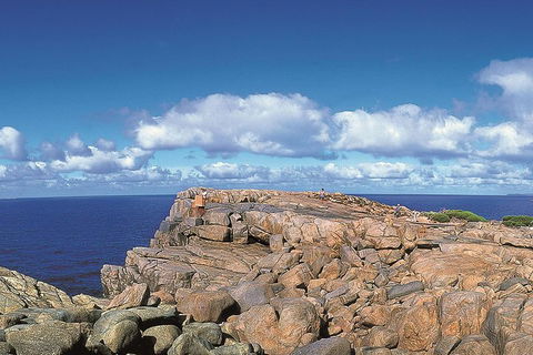 4 Day Tour: Albany, Margaret River, Valley Of The Giants TreeTop Walk From Perth - Accommodation Redcliffe 0