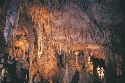 4 Day Tour: Albany, Margaret River, Valley Of The Giants TreeTop Walk From Perth - Accommodation Redcliffe 1
