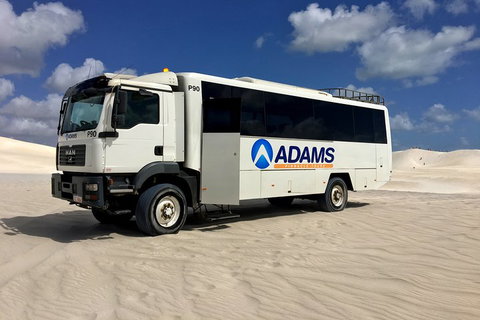 Pinnacles Desert, Koalas And Sandboarding 4WD Day Tour From Perth - Accommodation Redcliffe 2