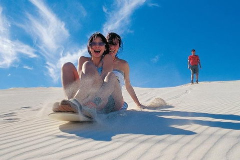 Pinnacles Desert, Koalas And Sandboarding 4WD Day Tour From Perth - Accommodation Redcliffe 3