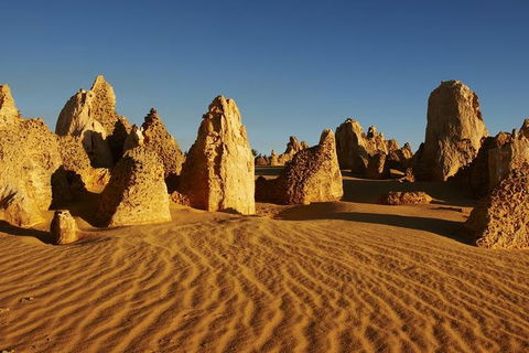 Full Day Pinnacle Desert Explorer From Perth Including Hillarys And Lancelin Sandboarding - Accommodation Redcliffe 3