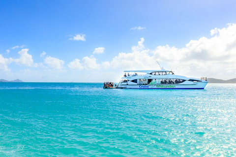 Whitehaven Beach And Daydream Island Cruise - Accommodation Redcliffe 2