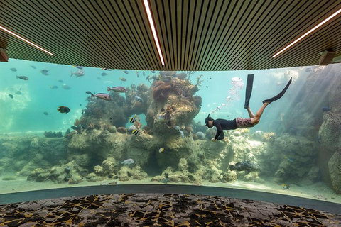 Whitehaven Beach And Daydream Island Cruise - Accommodation Redcliffe 4