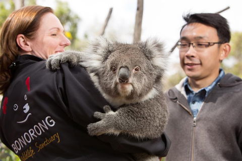 Bonorong Wildlife Park And Richmond Afternoon Tour From Hobart - Accommodation Redcliffe 0