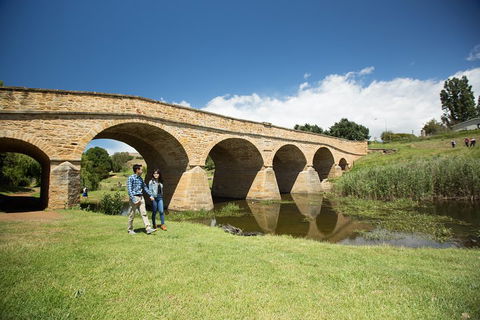 Bonorong Wildlife Park And Richmond Afternoon Tour From Hobart - Accommodation Redcliffe 2