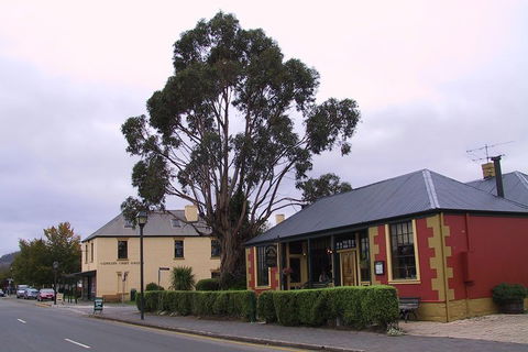 Bonorong Wildlife Park And Richmond Afternoon Tour From Hobart - Accommodation Redcliffe 3