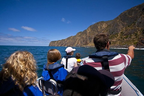 Seal Island Boat Tour From Victor Harbor - Accommodation Redcliffe 0