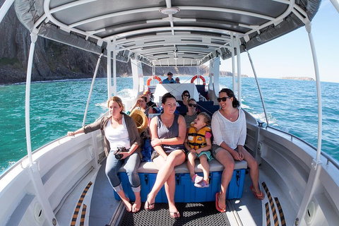 Seal Island Boat Tour From Victor Harbor - Accommodation Redcliffe 1