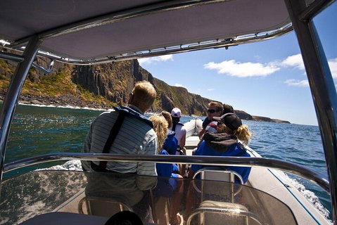 Seal Island Boat Tour From Victor Harbor - Accommodation Redcliffe 2