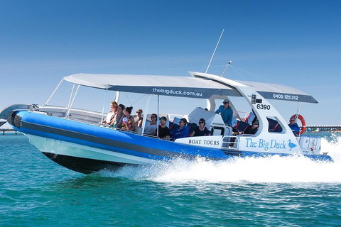 Seal Island Boat Tour From Victor Harbor - Accommodation Redcliffe 3