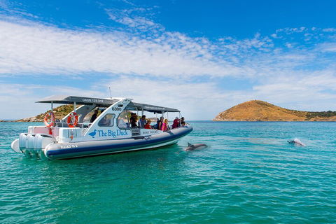 Southern Ocean Adventure From Victor Harbor - Accommodation Redcliffe 1