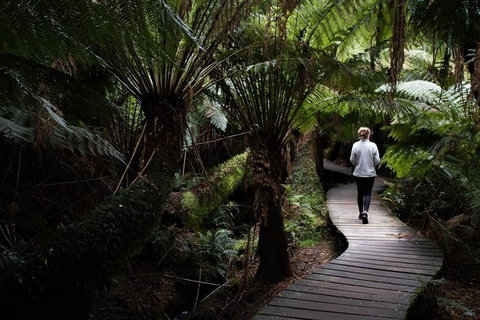 Private Tour Of Melbourne - Accommodation Redcliffe 2