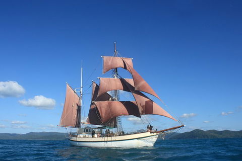 Sydney Harbour Tall Ship Whale & Sail - Whale Watching Cruise - Accommodation Redcliffe 1