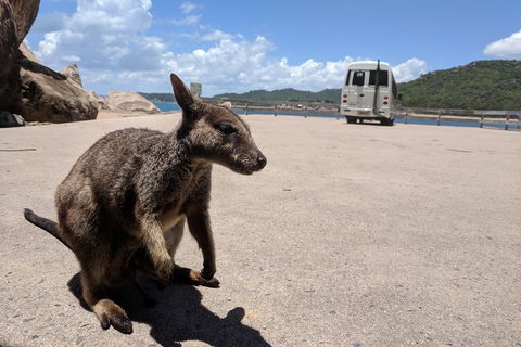 Magnetic Island Tour: Maggie Comprehensive - Accommodation Redcliffe 0