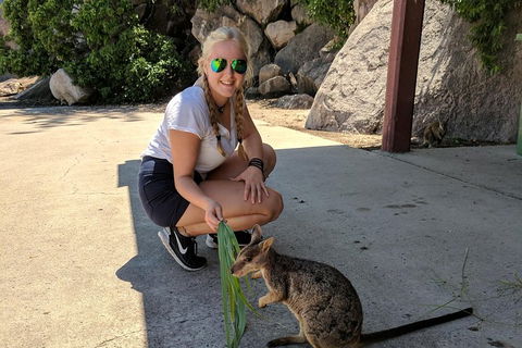 Magnetic Island Tour: Maggie Comprehensive - Accommodation Redcliffe 2