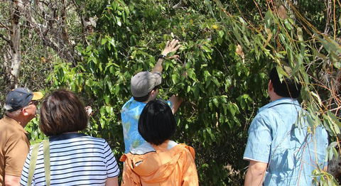 Magnetic Island Tour: Maggie Comprehensive - Accommodation Redcliffe 4