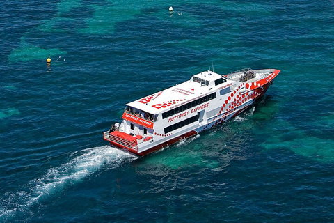 Discover Rottnest With Ferry & Bus Tour From Perth Or Fremantle - Accommodation Redcliffe 3