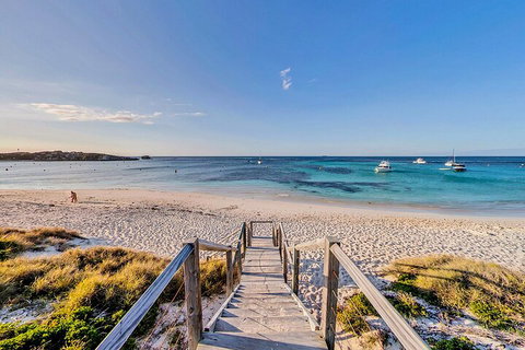 Discover Rottnest With Ferry & Bus Tour From Perth Or Fremantle - Accommodation Redcliffe 4