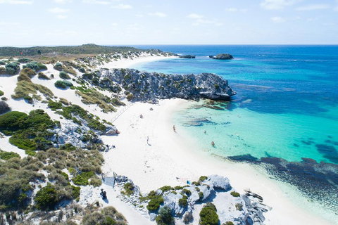 Discover Rottnest With Ferry & Bus Tour From Perth Or Fremantle - Accommodation Redcliffe 5