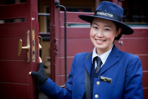 Puffing Billy, Moonlit Sanctuary & Penguins Day Tour - Accommodation Redcliffe 1