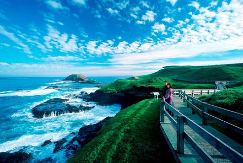 Puffing Billy, Moonlit Sanctuary & Penguins Day Tour - Accommodation Redcliffe 2