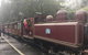 Puffing Billy, Moonlit Sanctuary & Penguins Day Tour - thumb 4