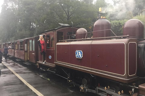 Puffing Billy, Moonlit Sanctuary & Penguins Day Tour - Accommodation Redcliffe 4