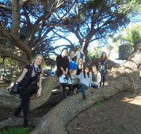 1/2 day Swan Valley Wine Cheese  Chocolate Tour Inc Afternoon Cruise to Perth - Accommodation Redcliffe