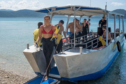 Fitzroy Island Day Trip From Cairns - Accommodation Redcliffe 5