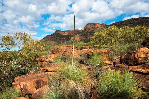 6-Day Eyre Peninsula & Flinders Ranges Adventure Tour - Accommodation Redcliffe 1